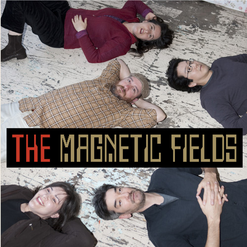 MagneticFields-web