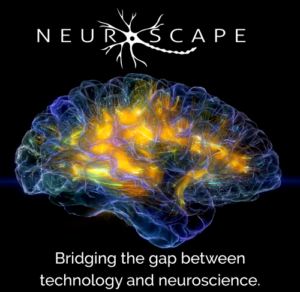 neuroscape