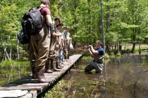 max_turtles_amnh_gilder_outreach