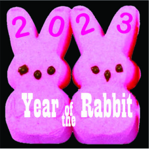 rabbits2023