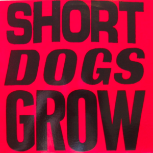 Text of "Short Dogs Grow" on red background