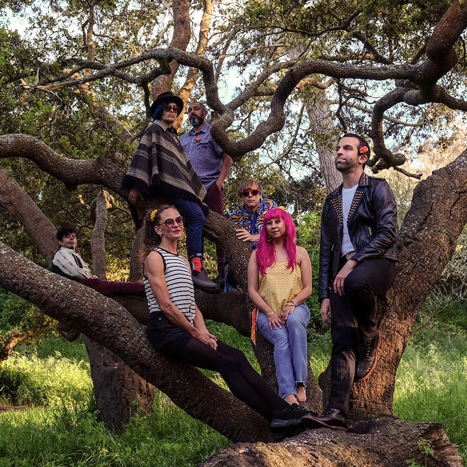 A photo of the seven person band Ritmos Tropicosmos posing in and around a large tree