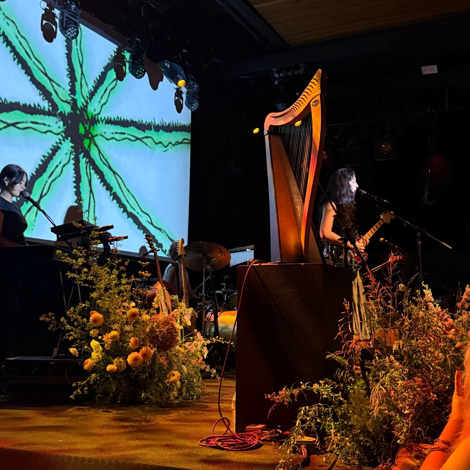 Multi-instrumentalist performing on stage next to a harp and decorative flowers